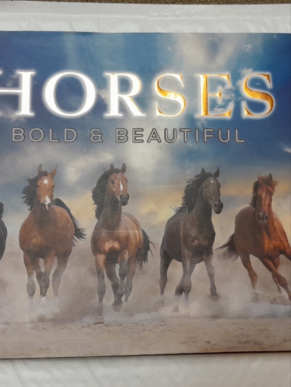 Horses Bold & Beautiful - Blue and Brown